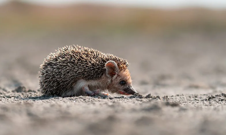 Kizárva: Egy anya kétségbeesett döntése, hogy távol tartsa lányát és unokáját